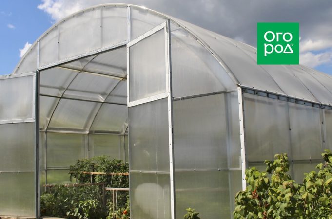 Dar forma y procesar tomates con calor: cómo no quedarse sin cosecha