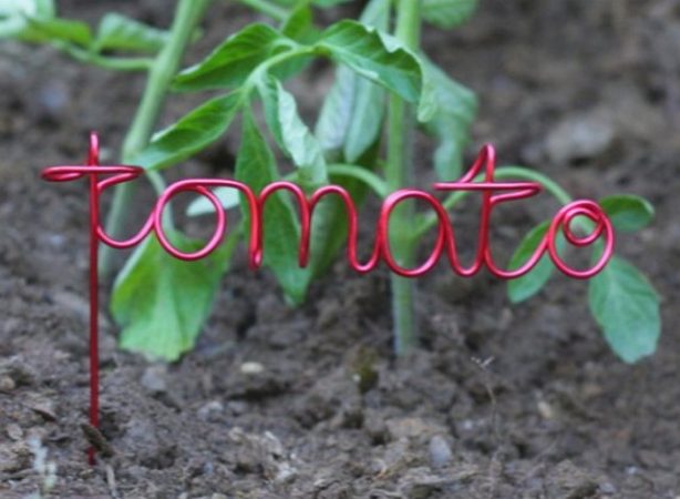 Etiquetas para tomates: de qué hacerlas, cómo hacerlas, cómo colocarlas y por qué son necesarias