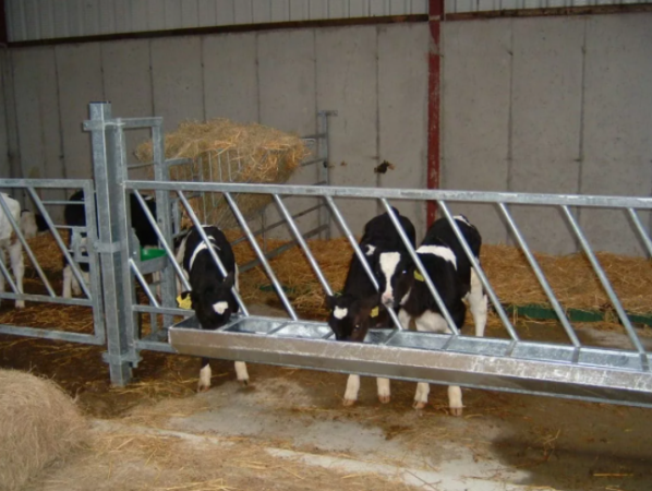Fabricando tus propios comederos para vacas