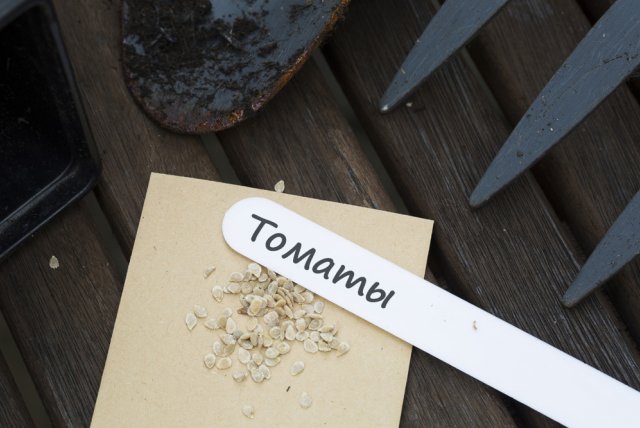 Ficha de semillas: consejos del Club de Productores de Tomate