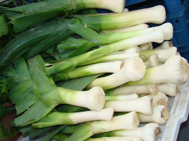 puerro