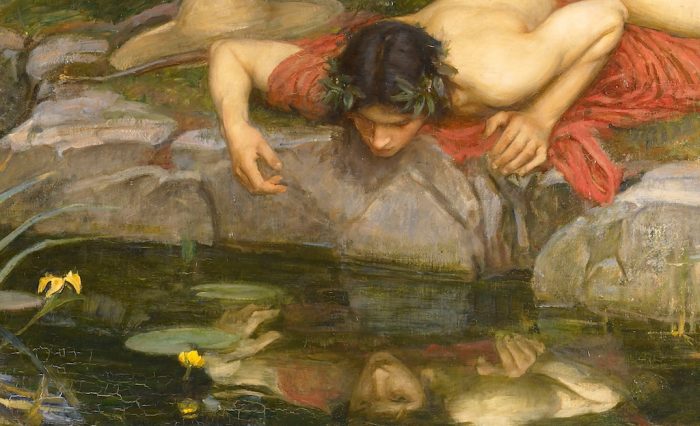 Narcisos - foto, cuidados, tipos, descripción, reproducción