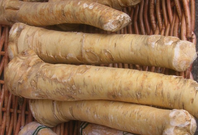 No te apresures a cosechar: 7 verduras que se benefician del frío otoñal