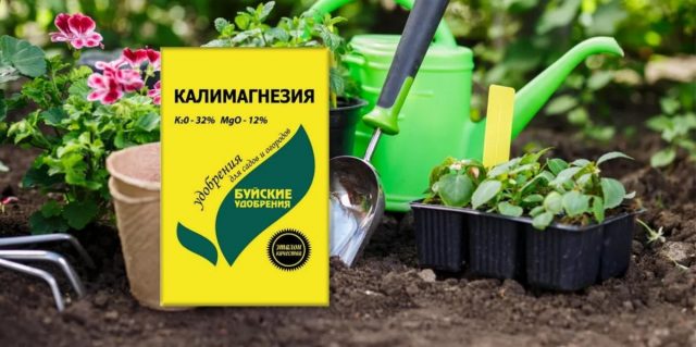 Óxido de potasio y magnesio: fertilizante para una gran cosecha
