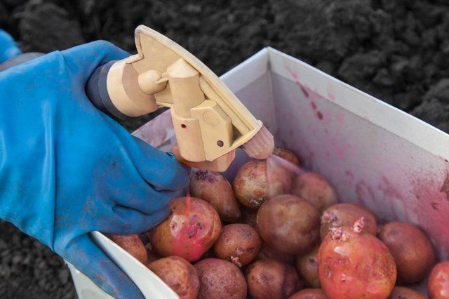 Patatas: un sistema de fertilización y protección contra enfermedades y plagas durante toda la temporada.