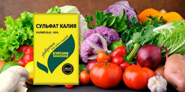 Sulfato de potasio (sulfato de potasio): fertilizante para una gran cosecha