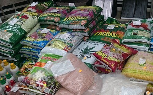 Tierra para plántulas: ¿comprar o preparar usted mismo?