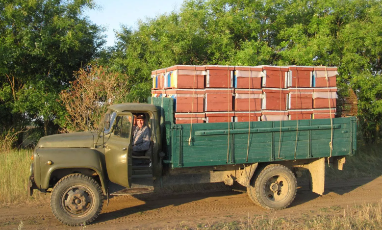 Vehículo de transporte de abejas