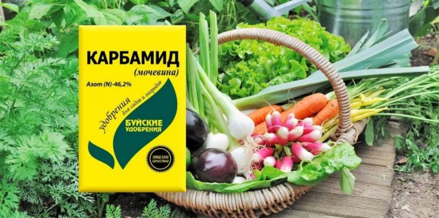 Urea (carbamida): fertilizante para una gran cosecha
