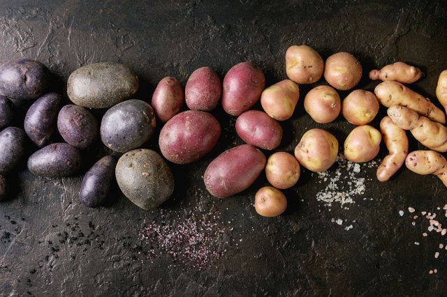 ¿Por qué las patatas no volvieron a crecer bien? 7 razones más comunes