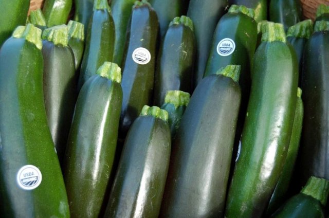 Quick Guide: What Types of Zucchini Are There?